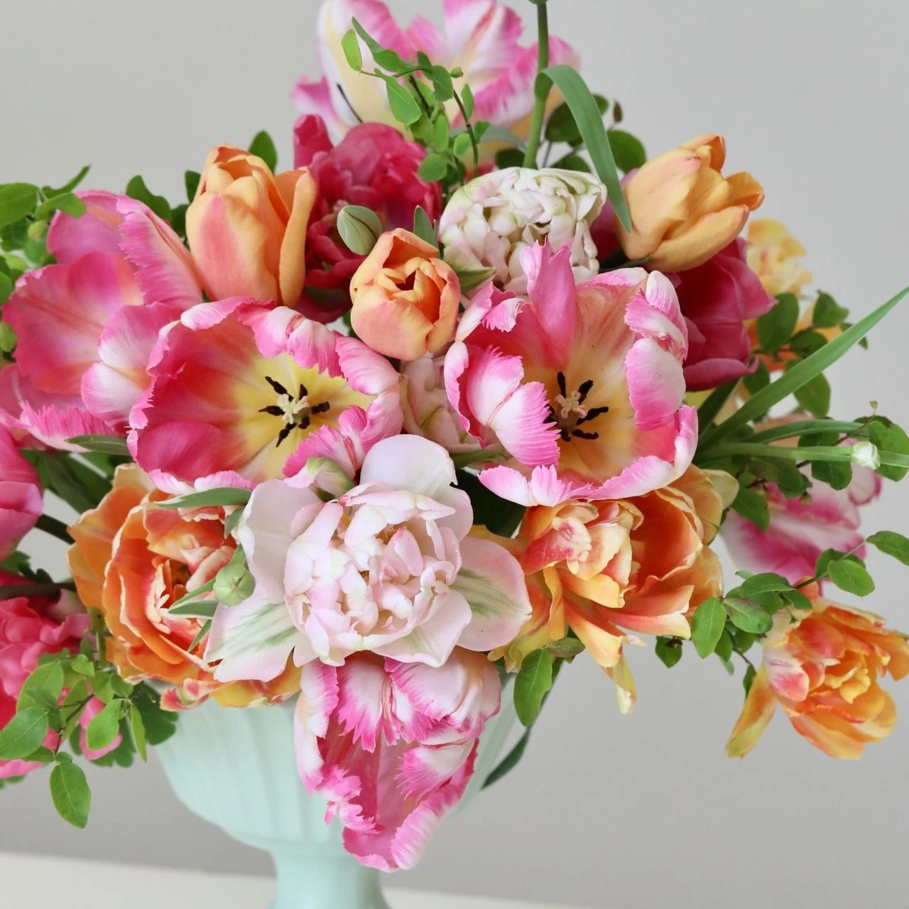 Tulip Flirty Fleurs Dauphine Collection - Image 2