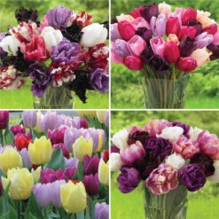 Tulip Assorted Flower Arranger's Collection