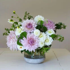 Dahlia Assorted Flirty Fleurs Fionna Collection