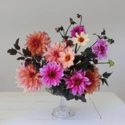 Dahlia Assorted Flirty Fleurs Veracruz Collection