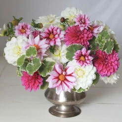 Dahlia Assorted Flirty Fleurs Derry Collection