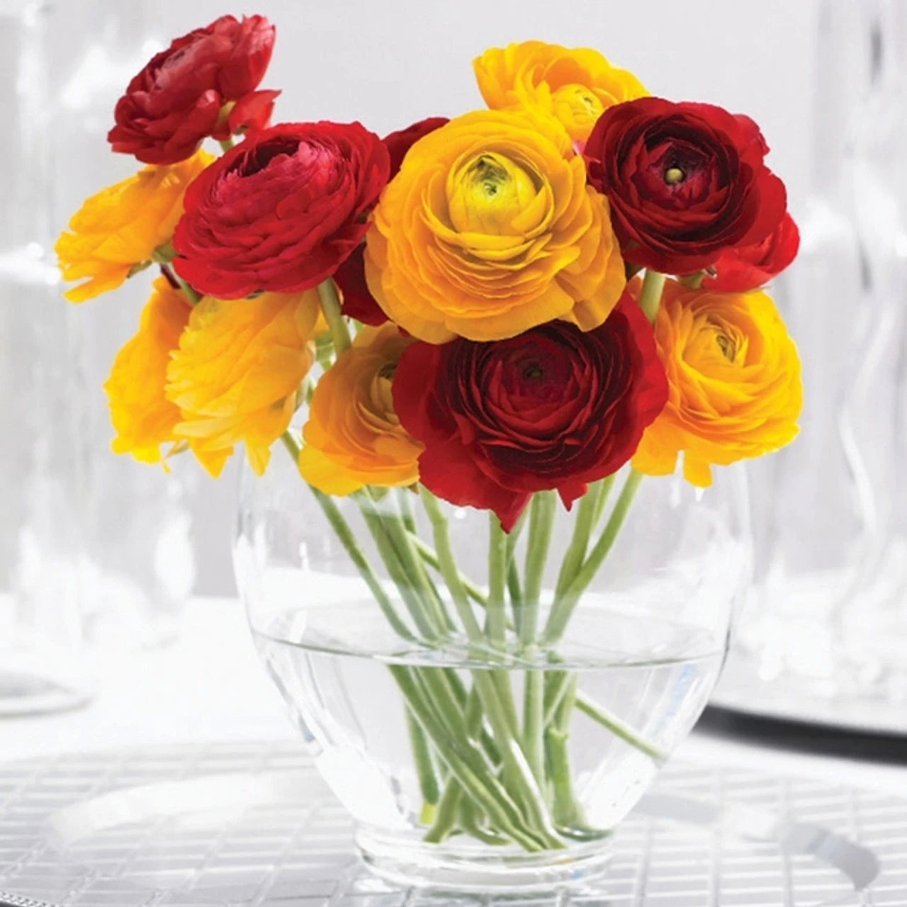 Ranunculus Tomer Red & Yellow (Spring) - Image 2
