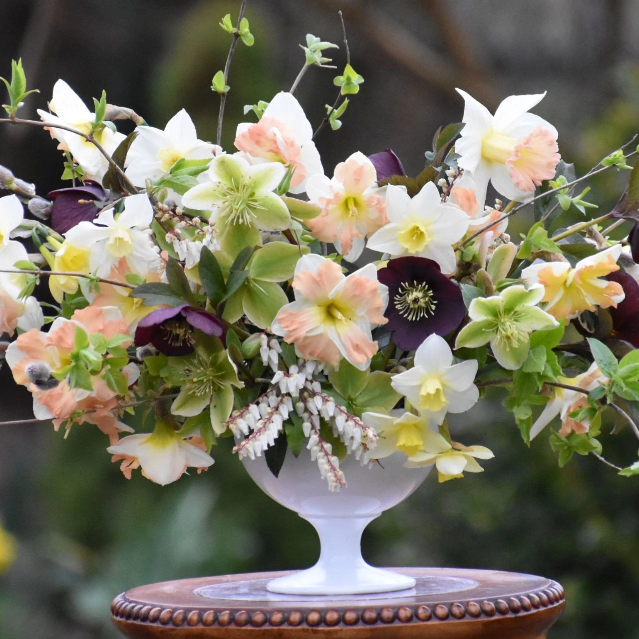 Daffodil Trumpet British Gamble - Image 2