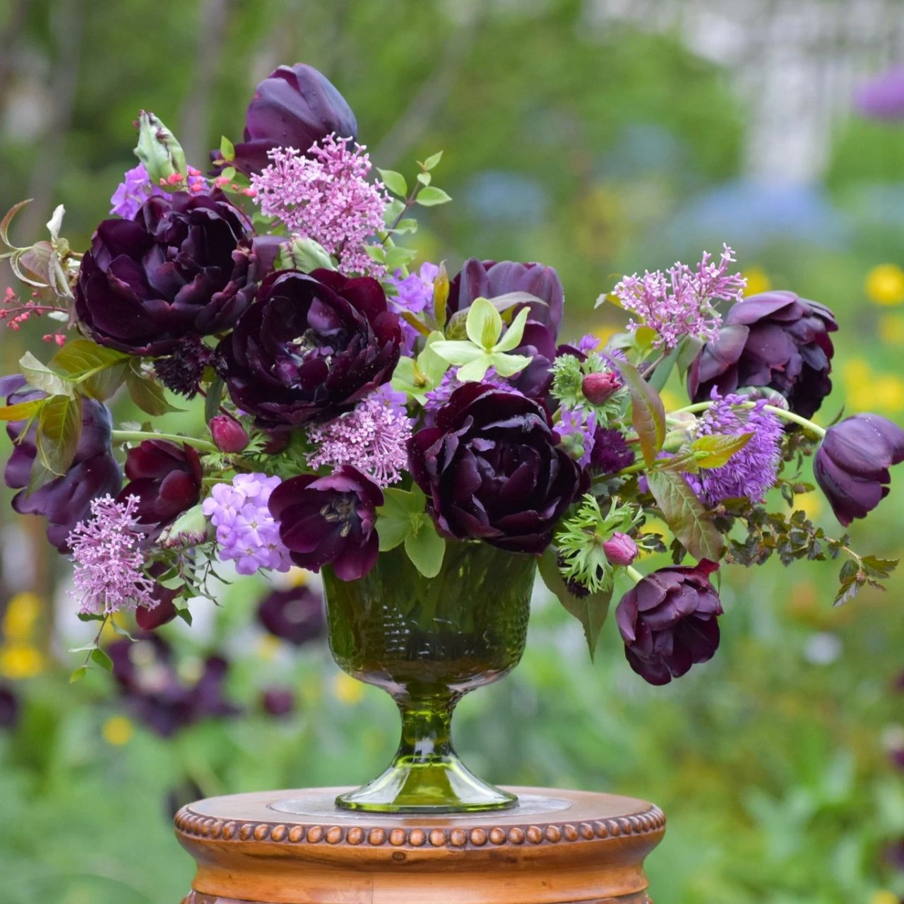 Tulip Single Late Queen Of Night - Image 6